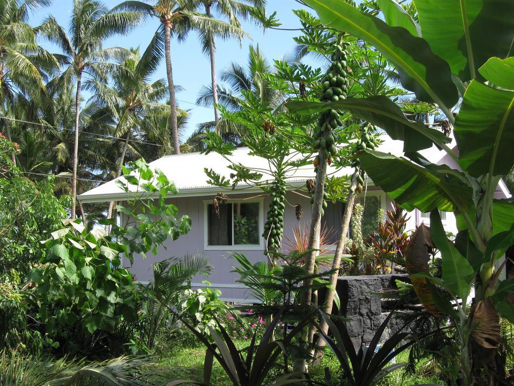 The Dolphin Cottage At Kehena Beach Exteriér fotografie