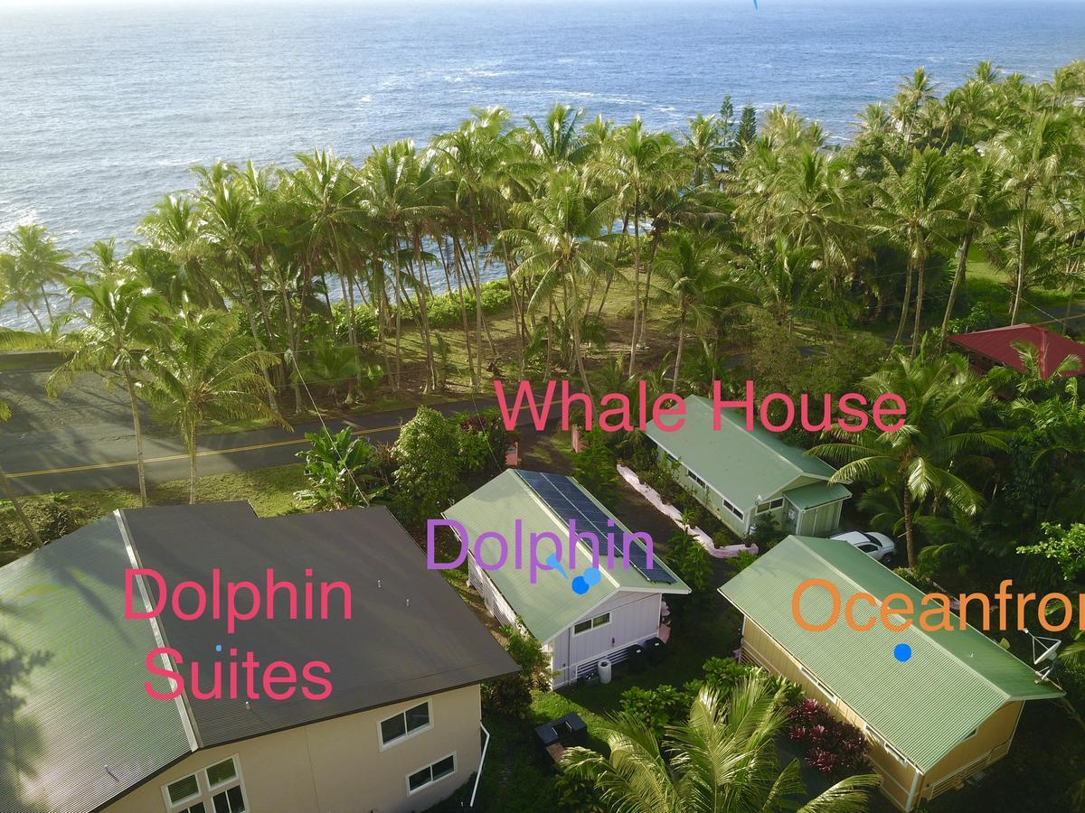 The Dolphin Cottage At Kehena Beach Exteriér fotografie